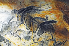 Höhlenmalerei Chauvet-Pferde